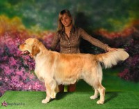 /album/sunny-kutyakozmetika-kisallat-apolas/sunnyfields-kennel-austin2-jpg/