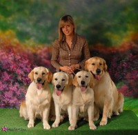 /album/sunny-kutyakozmetika-kisallat-apolas/sunnyfields-kennel2-jpg/