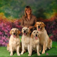 /album/sunny-kutyakozmetika-kisallat-apolas/sunnyfields-kennel3-jpg/