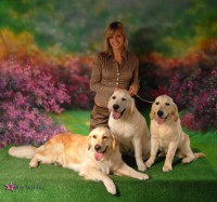 /album/sunny-kutyakozmetika-kisallat-apolas/sunnyfields-kennel4-jpg/